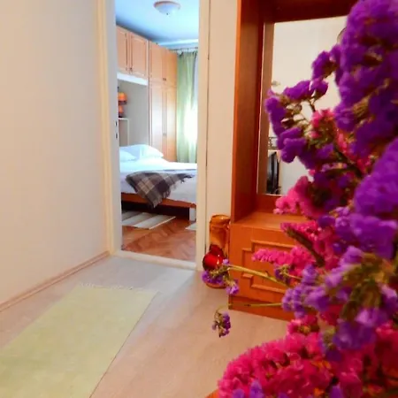 Lukacevic Apartment *